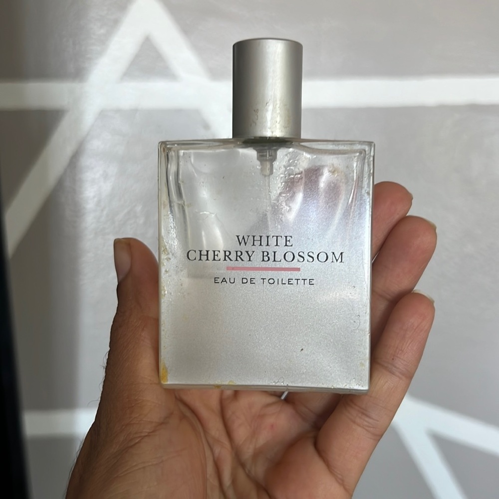 White cherry blossom